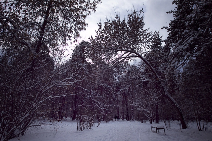 В Екатеринбурге все-таки построят здания генконсульства КНР в Зеленой роще
