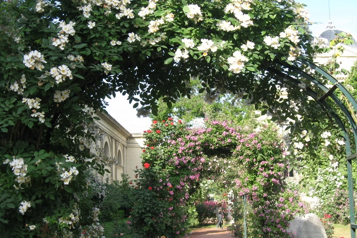 Выставочные сады ландшафтных дизайнеров появятся в сквере у Дворца молодежи