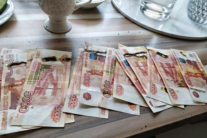 Россиянка решила обработать купюры в микроволновке и лишилась 65 тысяч рублей