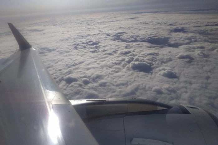 Замдиректора «Победы» уволен из-за фаллоса в небе