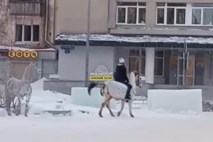 В свердловском городе «взбесилась» лошадь, катавшая детей