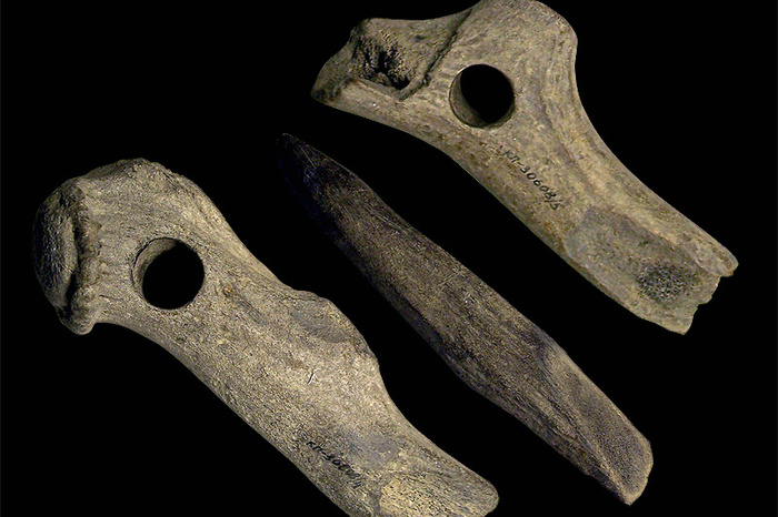 Археологи нашли под Нижним Тагилом уникальный артефакт, которому 8 тысяч лет
