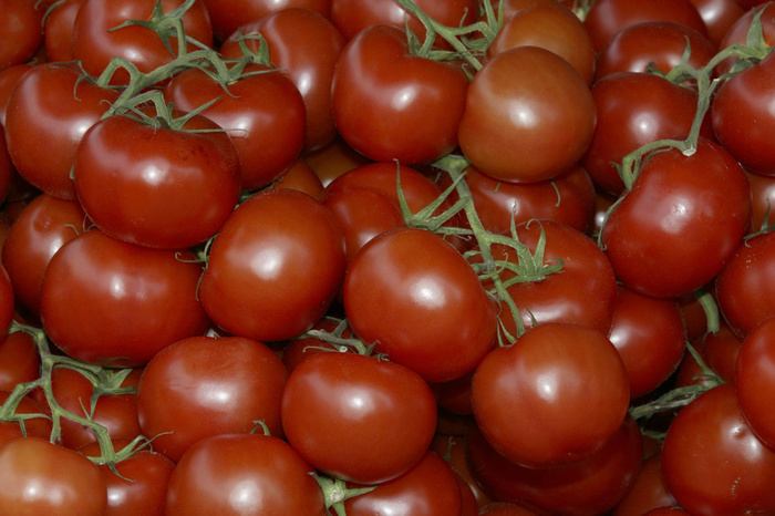 Роскачество объяснило пластмассовый вкус помидоров