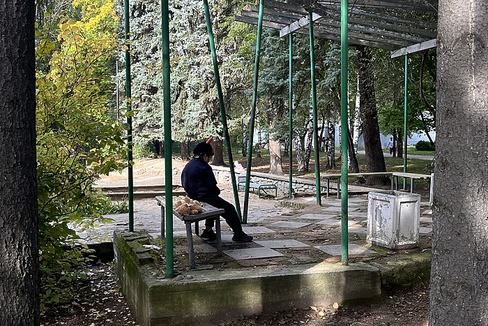 «Бабье лето» в Свердловской области ожидается в этом году необычным