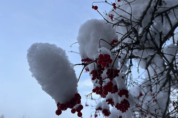 Морозы до -30 градусов вновь возвращаются в Свердловскую область