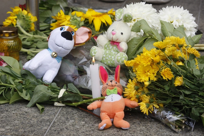 Голландия попросила Россию помочь в расследовании крушения малазийского Boeing 777