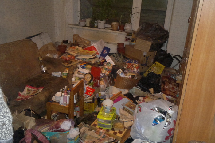 Екатеринбурженку заставили прибраться в собственной квартире, в которой проживали 20 кошек