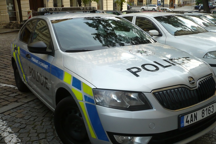«Веская причина, чтобы быть задавленным». В Германии полицейские устроили опасную погоню по парку