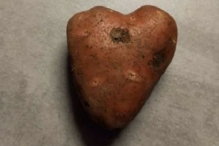 В Екатеринбурге выставили на продажу картофелину в виде сердца