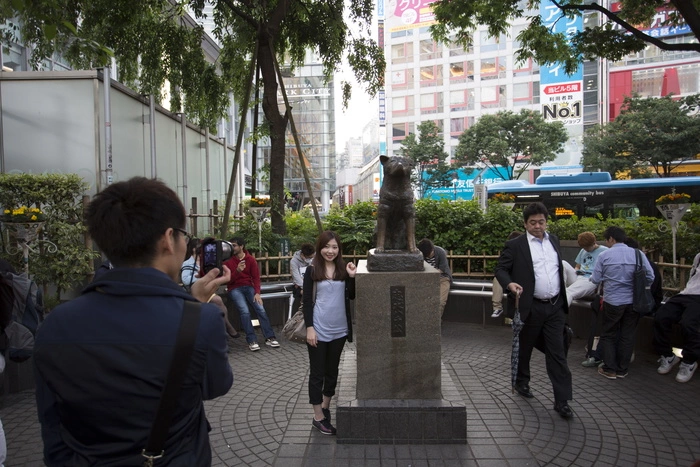 Ждал хозяина 2 года: в Челябинске откроют памятник местному Хатико