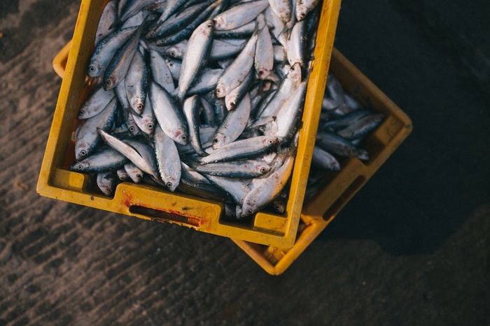 Уралмашу грозит экологическая катастрофа из-за склада с гниющей рыбой