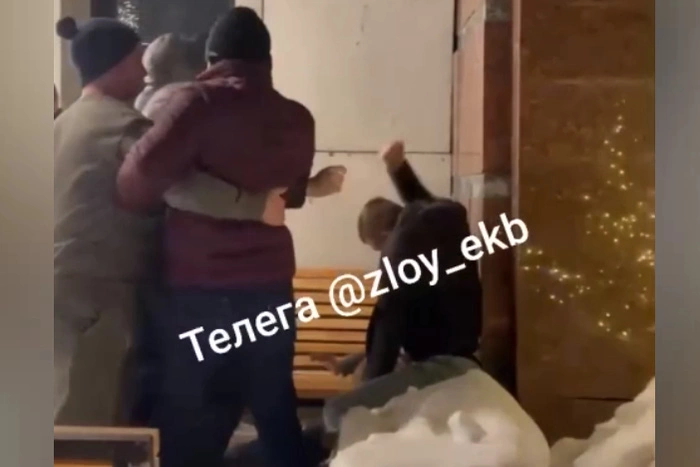 Екатеринбуржцы устроили жестокую драку возле бара на Ботанике