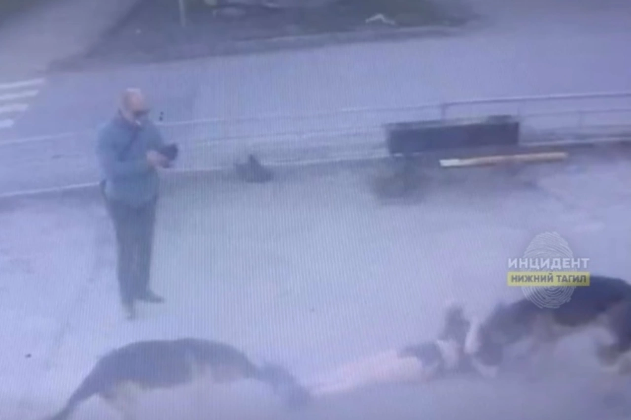 Натравливавший своих овчарок на людей тагильчанин арестован на два месяца (ФОТО)