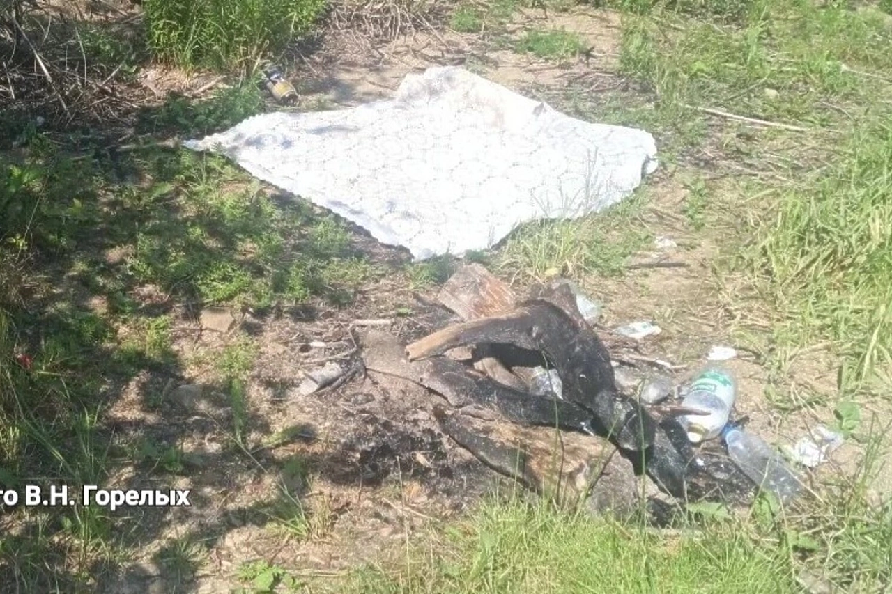 При взрыве в палатке на берегу Бисертского пруда чудом не погибла компания рыбаков