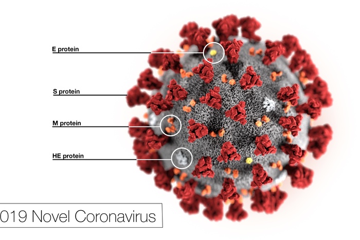 Нобелевский лауреат: коронавирус содержит частицы ВИЧ и создан искусственно