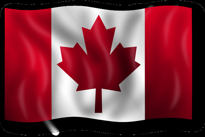 Канада ввела новые персональные санкции против высокопоставленных екатеринбуржцев
