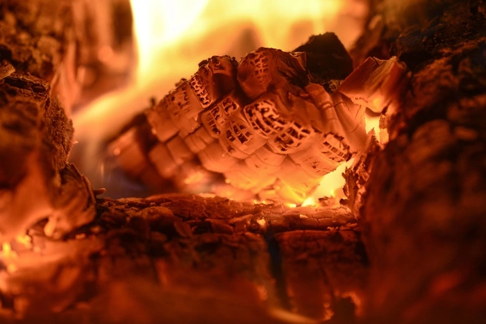 Сельчане пригласили авторов «закона о валежнике» пожить зимой в деревне