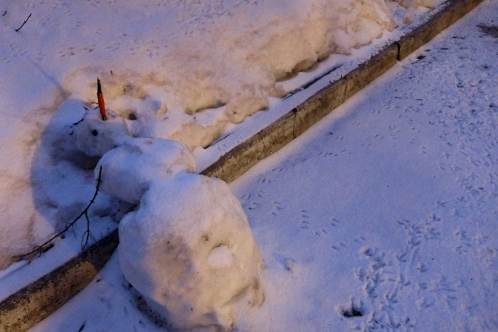 Минувший февраль стал самым теплым месяцем в истории