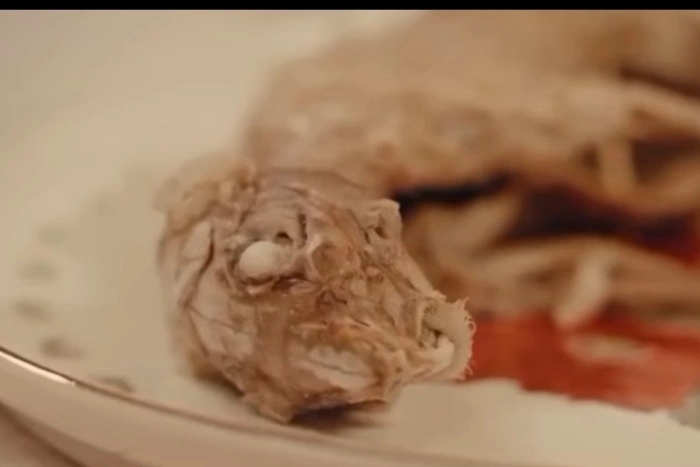 Бурматов призвал наказать Настю Ивлееву за жестокое обращение с животными