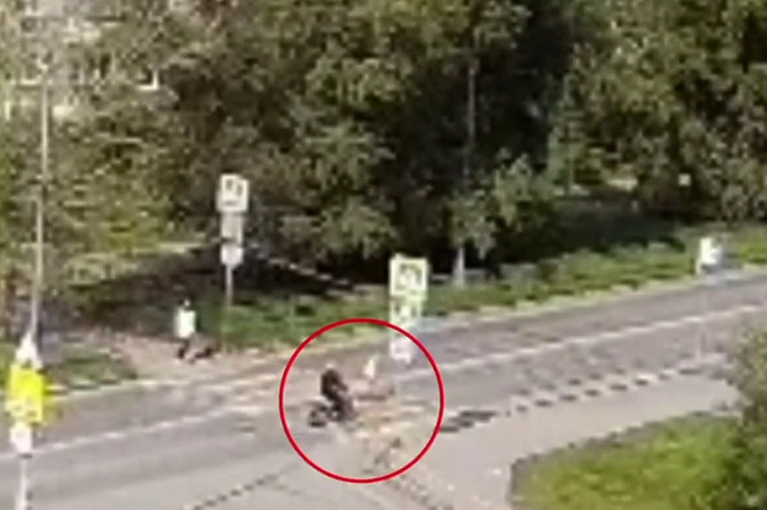 Свердловский подросток без прав сбил 10-летнюю девочку на пешеходном переходе и скрылся с места происшествия