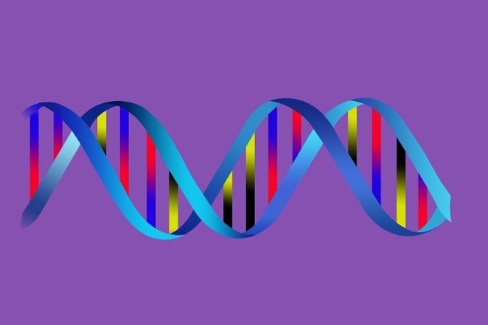 Научная сенсация: в МГУ разгадали механизм упаковки молекулы ДНК