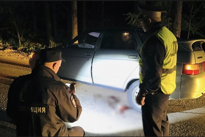 В Свердловской области пьяная мать с детьми в машине насмерть сбила человека