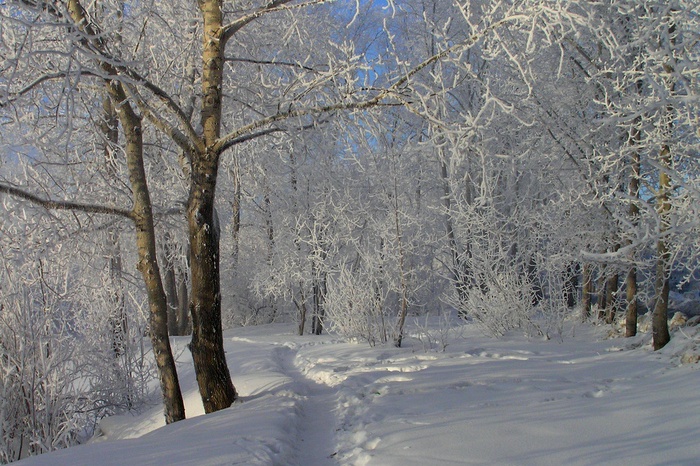 Гидрометцентр предупредил жителей Екатеринбурга о снегопадах и холодах