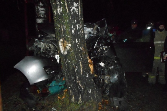 Toyota с нетрезвой компанией врезалась в дерево в Тавде, есть погибший