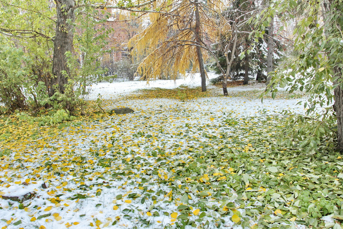 Синоптики: Снег на Урале при жаре в Москве — это не аномалия, а новая норма