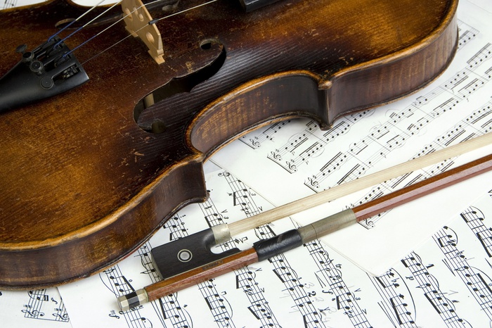 Кольцовская таможня вернула чешскому музыканту изъятую скрипку