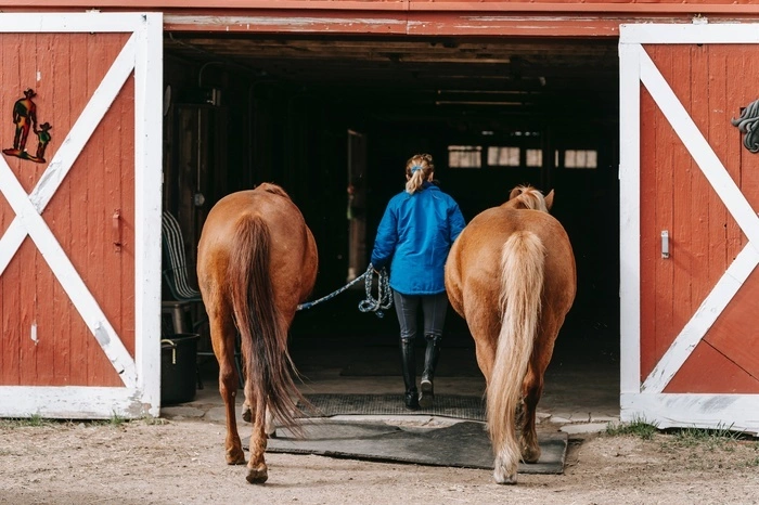 На Урале школьник погиб из-за испугавшейся лошади