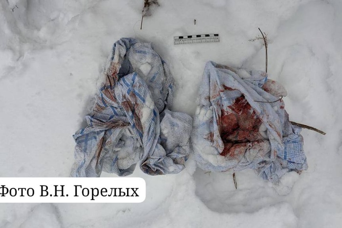 Закопавшая новорожденного в снегу свердловчанка скрывала от мужа третью беременность