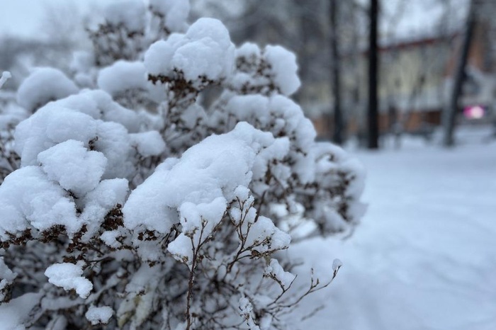 В части Уральского федерального округа ударят морозы
