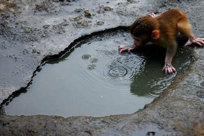 Летние опрессовки в Екатеринбурге перенесли на конец июля