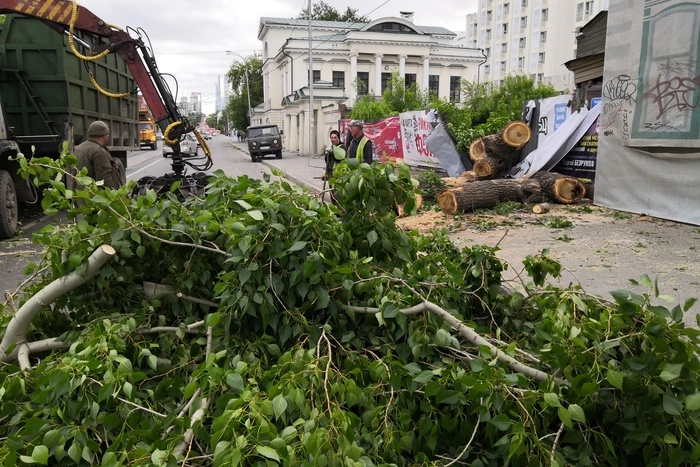 Три человека погибли во время урагана в Екатеринбурге