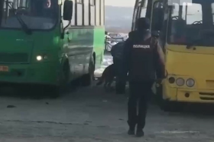 В Солнечном полицейские с собаками устроили проверку автобусов на остановке — видео