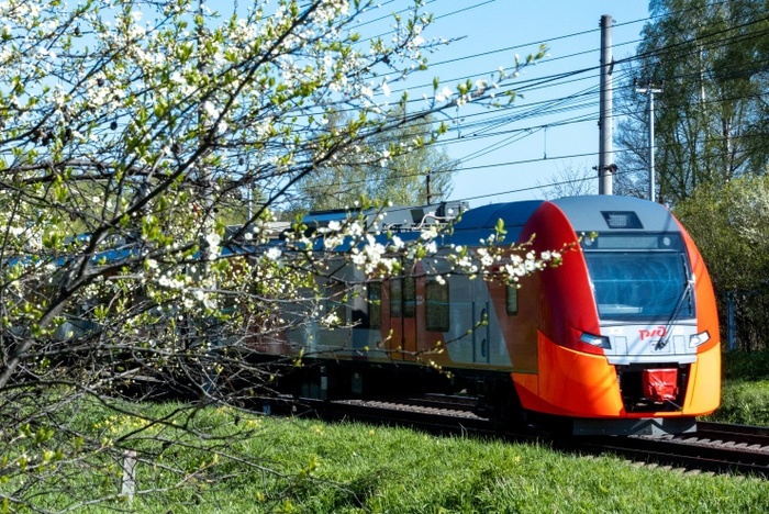 Из Екатеринбурга запустят новые скоростные поезда