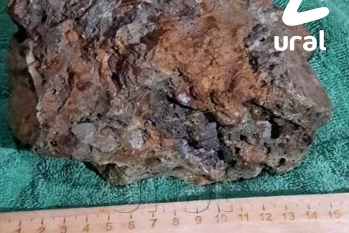 Свердловчанин нашёл в лесу метеорит