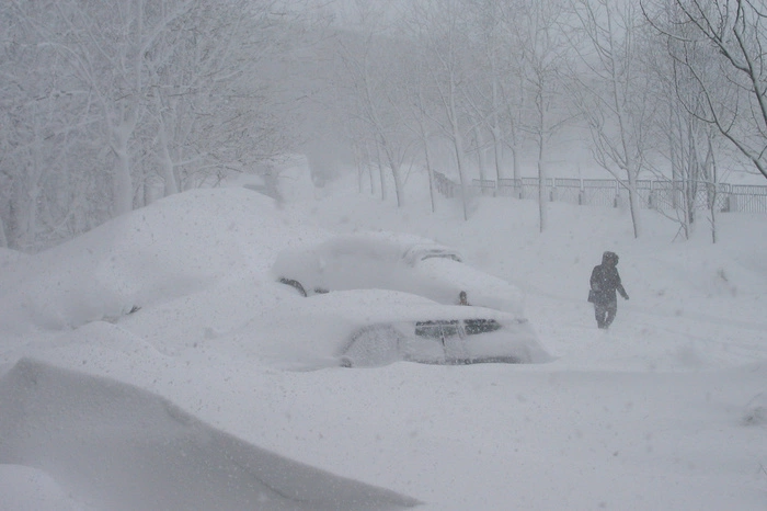 Штормовое предупреждение: синоптики прогнозируют сильный ветер