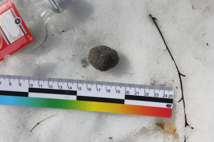 Группа наркосбытчиков закладывала наркотики в «камни», похожие на экскременты