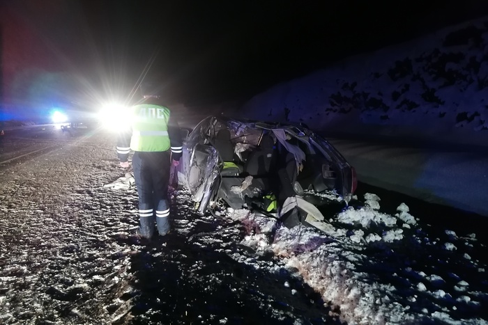 На дорогу выскочило животное: в жутком ДТП на свердловской трассе погиб ребёнок