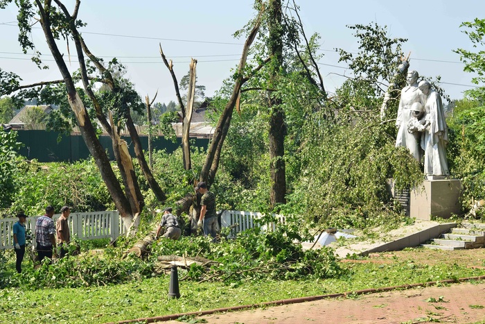 Ураганный ветер в тюменском Ишиме повалил много деревьев и перевернул остановку