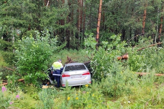 В Toyota Corolla на Серовском тракте погибли топ-менеджеры «ВСМПО-АВИСМА»