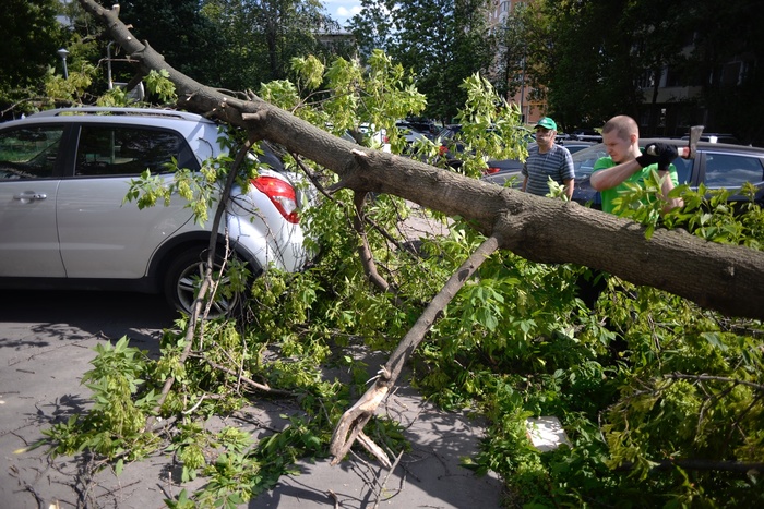 Ураганный ветер в Екатеринбурге повалил деревья на проезжую часть