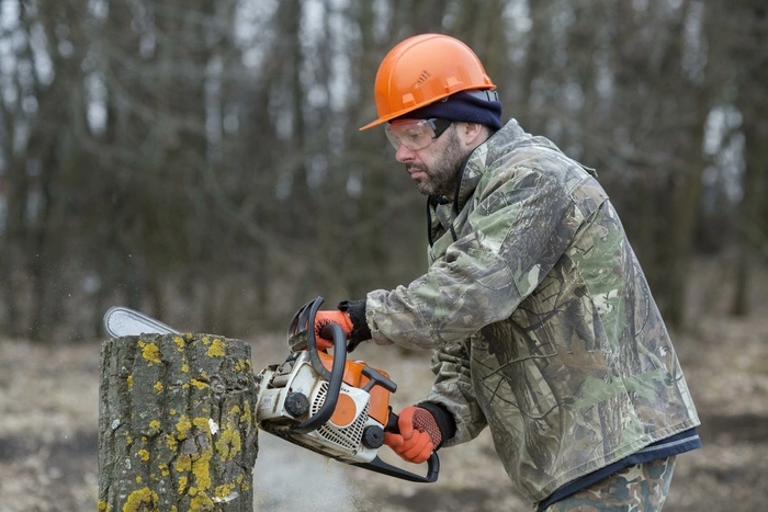 В Горсвете рассказали, как пенек попал в провода