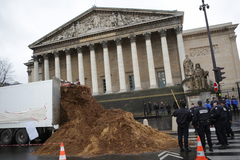 Злые французские коневоды навалили навоз возле парламента