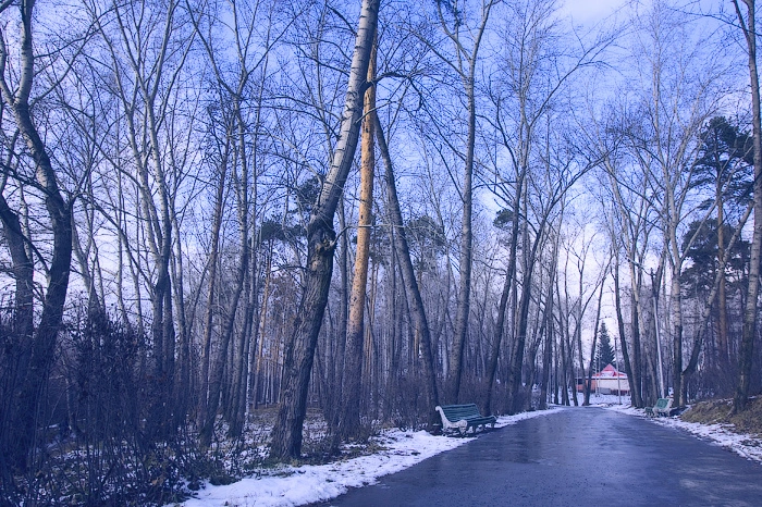 Екатеринбургский шоумен потребовал уволить директора ЦПКиО