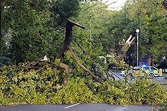 &quot;Святой Иуда&quot; добрался до Петербурга