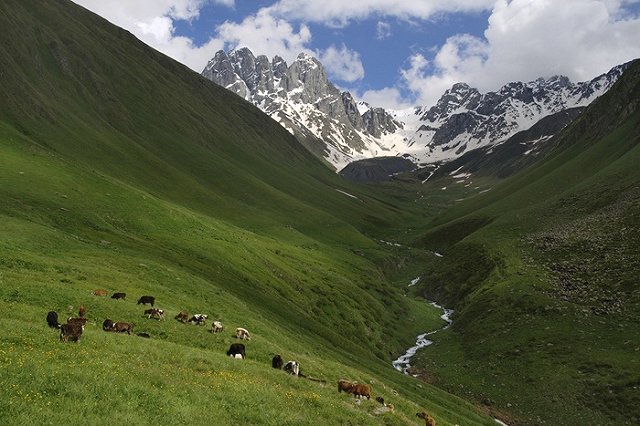 19-летний пастух подозревается в убийстве туристов из США в Грузии