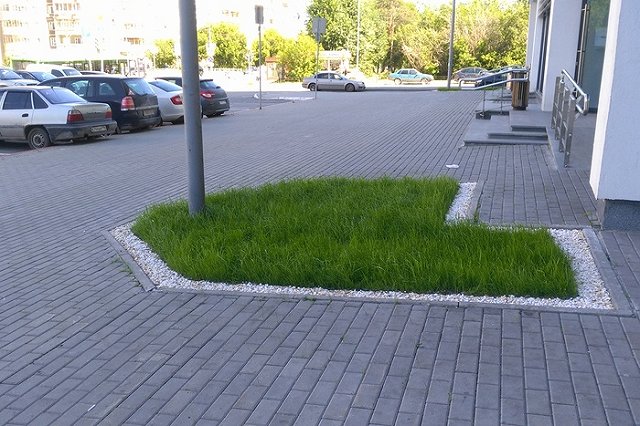 В Екатеринбурге начали появляться «правильные газоны»